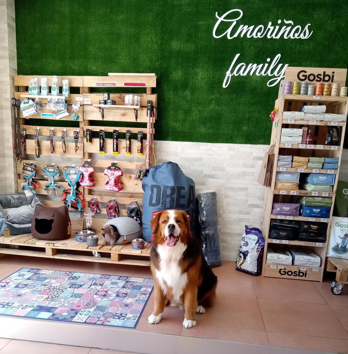 Amoriños en Pontevedra