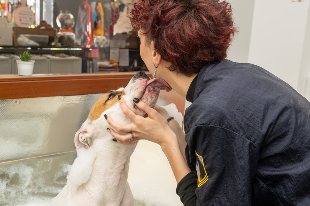 Profesionales experimentadas y apasionadas de los animales